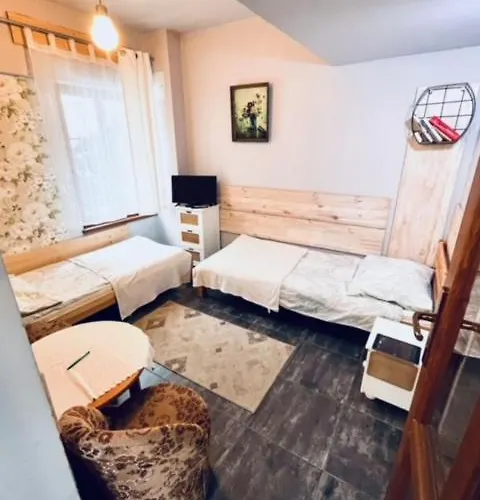 U Ewy アパート ドゥシュニキ・ズドルイ